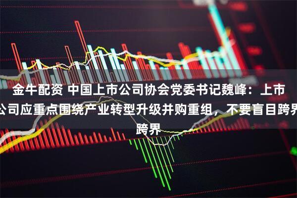 金牛配资 中国上市公司协会党委书记魏峰：上市公司应重点围绕产业转型升级并购重组，不要盲目跨界