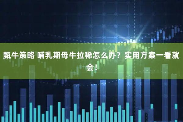 甄牛策略 哺乳期母牛拉稀怎么办？实用方案一看就会！
